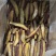 红瑶蜜薯