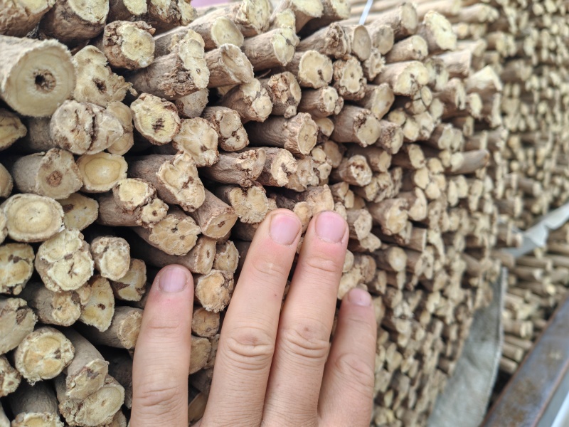 黄芪节子精品现发欢迎电话咨询货源充足规格齐全