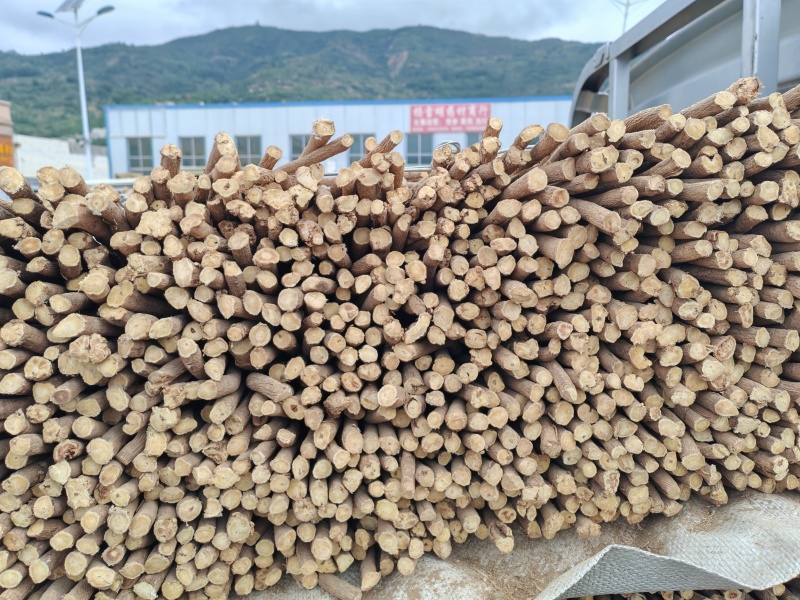 黄芪节子精品现发欢迎电话咨询货源充足规格齐全
