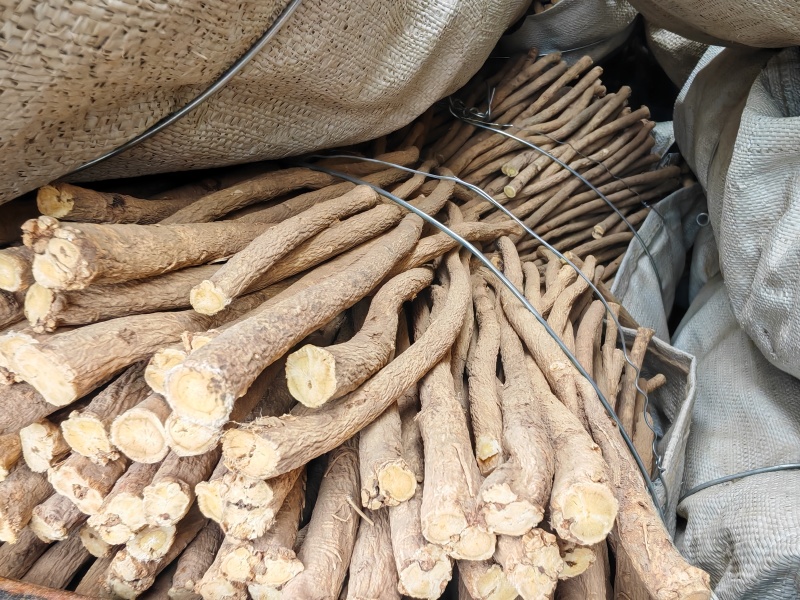 黄芪节子精品现发欢迎电话咨询货源充足规格齐全