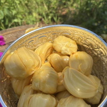 泰国8号红肉菠萝蜜