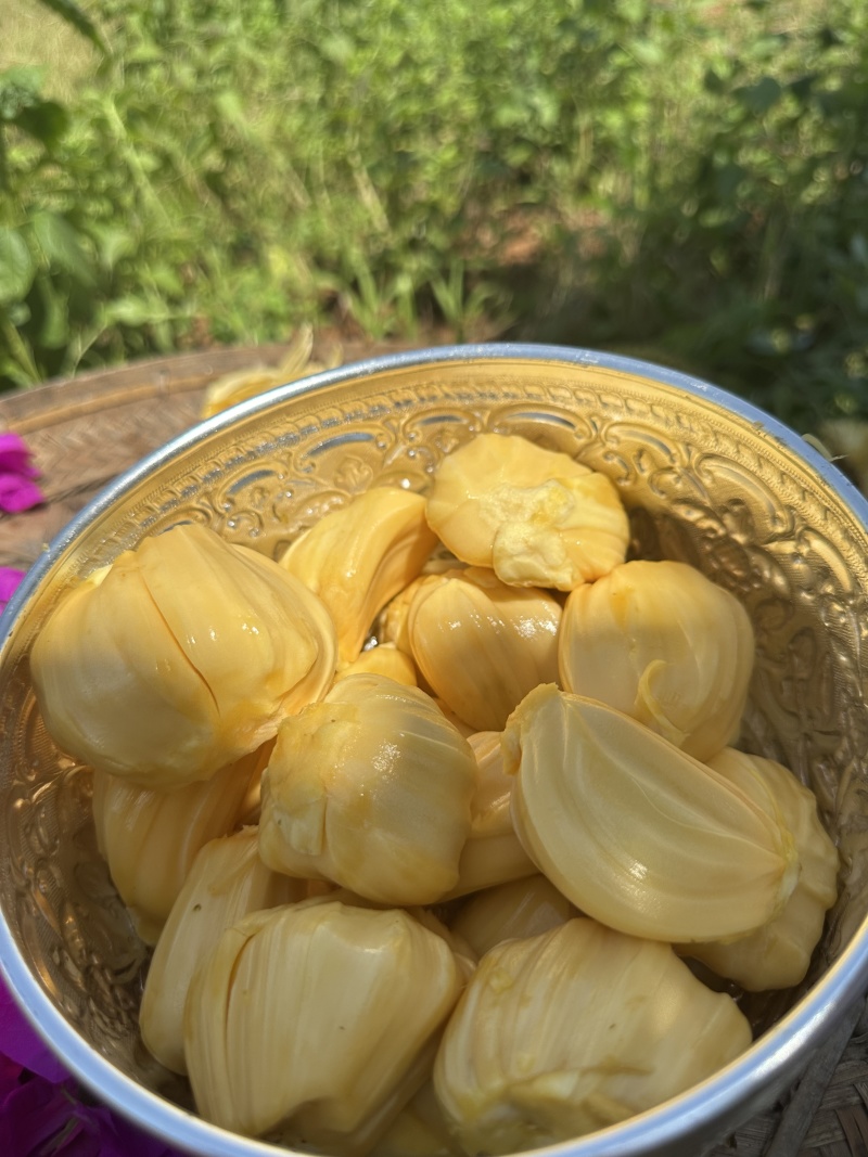 泰国8号红肉菠萝蜜