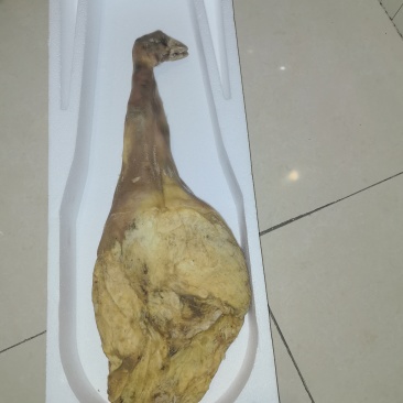 正宗金华两头乌火腿