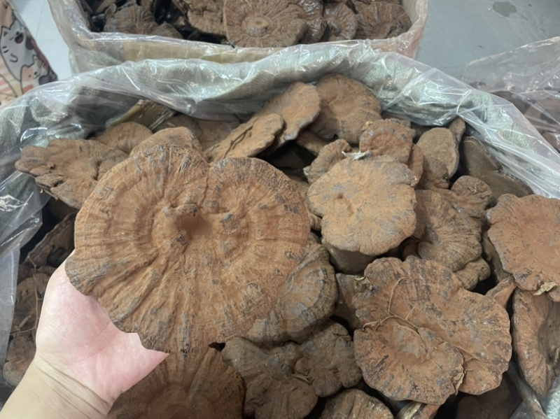 粉灵芝灵芝粉香芝一手货源稳定供应