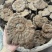 粉灵芝灵芝粉香芝一手货源稳定供应