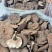 粉灵芝灵芝粉香芝一手货源稳定供应