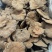 粉灵芝灵芝粉香芝一手货源稳定供应