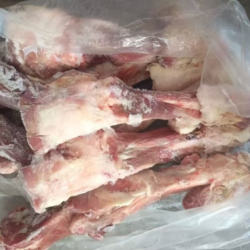 后腿骨