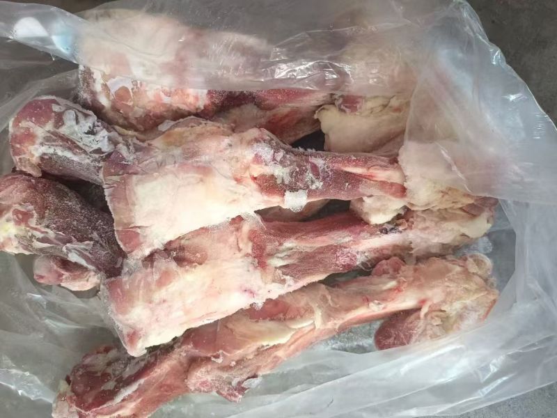 后腿骨