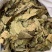 柿子叶【包邮】三斤起发货可批量可零售量大从优