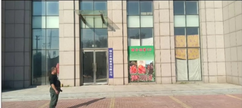 烟薯25，山东红薯量大质优，产地一手货源，全国发货
