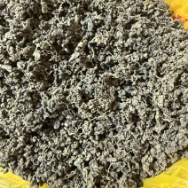 茶用绞股蓝精选货零售批发规格齐全包邮货源充足