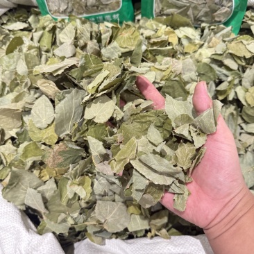 甘肃淫羊藿整个小叶精选货即见即所得零售批发