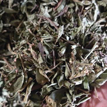 整颗甜叶菊，手工分段，机器分割，可用于药材或其他方面