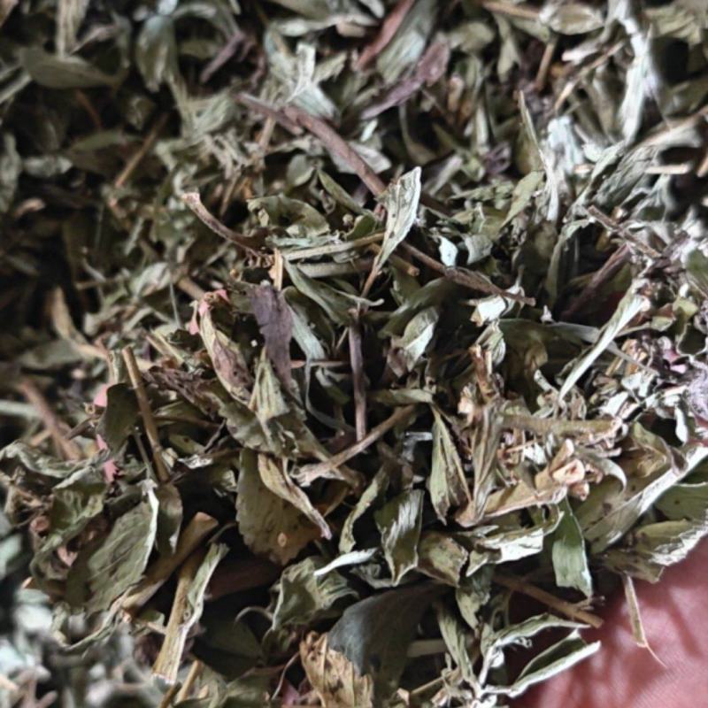 整颗甜叶菊，手工分段，机器分割，可用于药材或其他方面