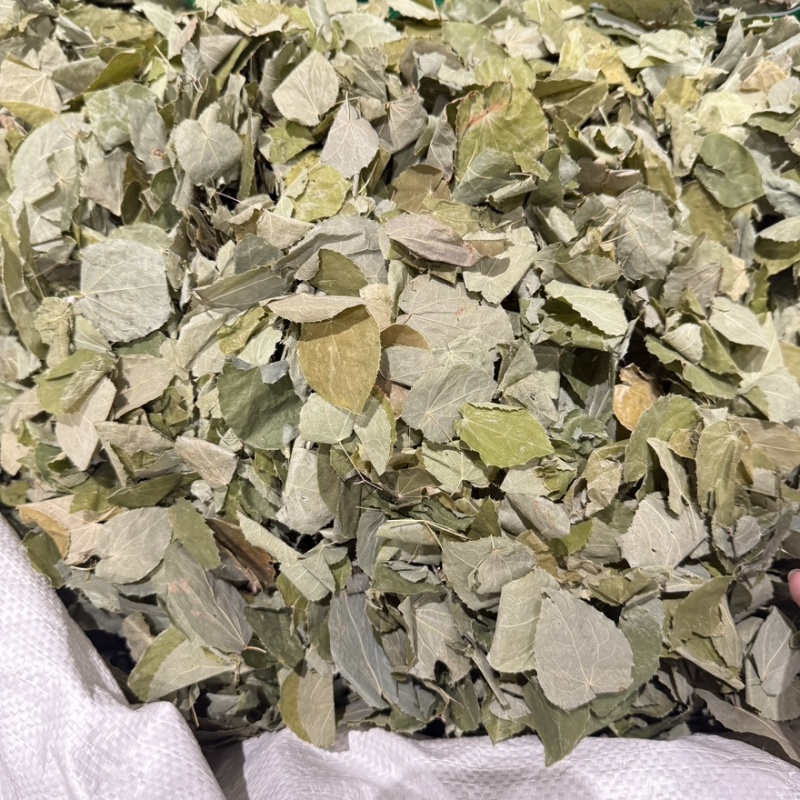 甘肃淫羊藿整个小叶精选货即见即所得零售批发