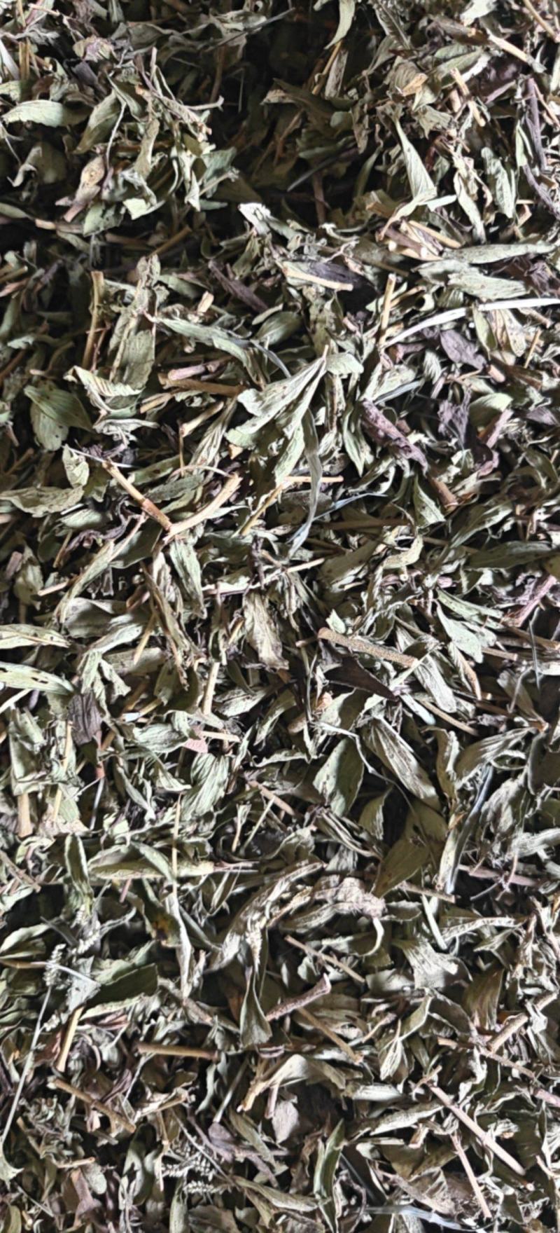 整颗甜叶菊，手工分段，机器分割，可用于药材或其他方面