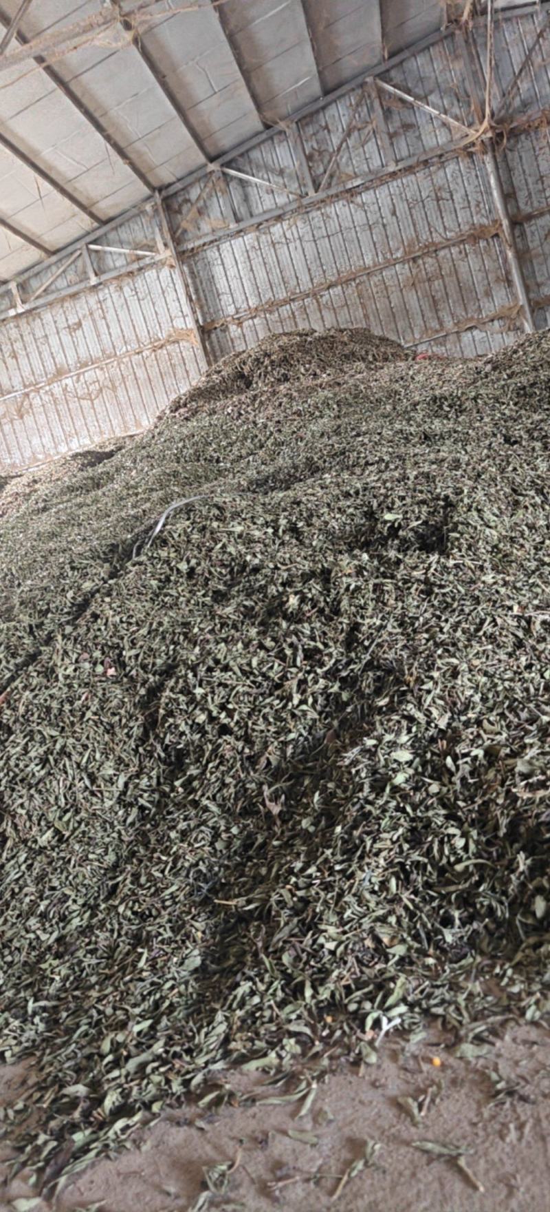 整颗甜叶菊，手工分段，机器分割，可用于药材或其他方面