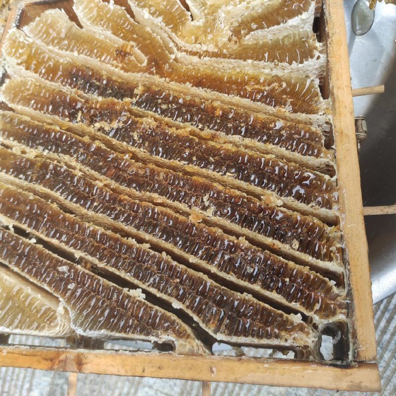 ***的土蜂蜜