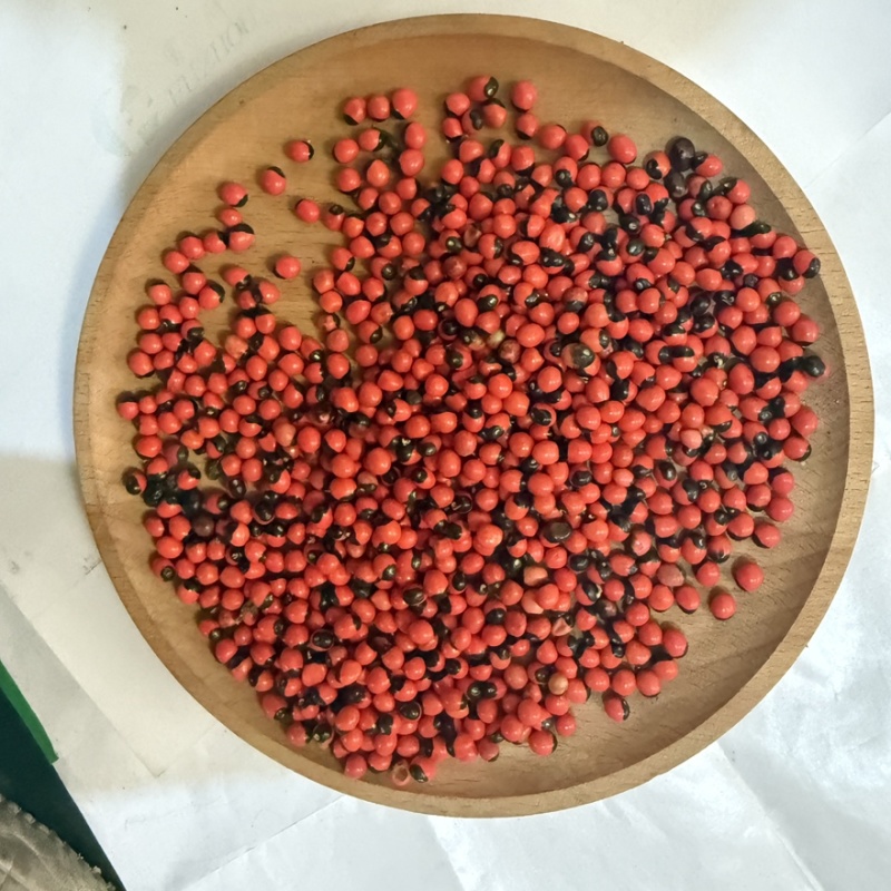相思豆精选货大货供应看图收货