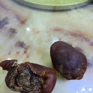 鸡宝