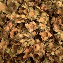 柿蒂【包邮】三斤起发货可批量可零售量大从优