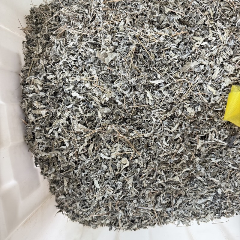 叶莓茶精选货货源充足零售批发包邮