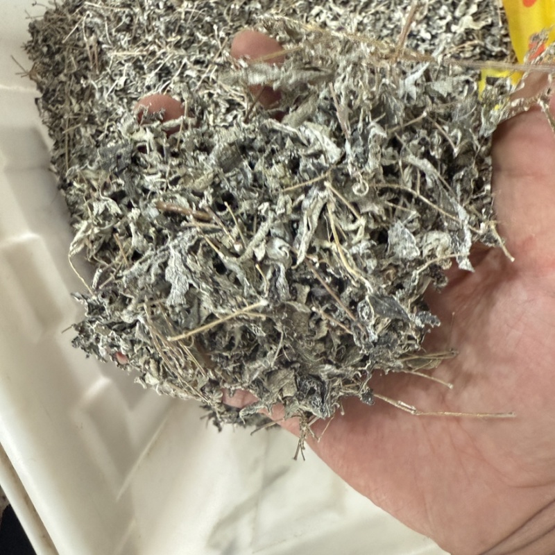 叶莓茶精选货货源充足零售批发包邮
