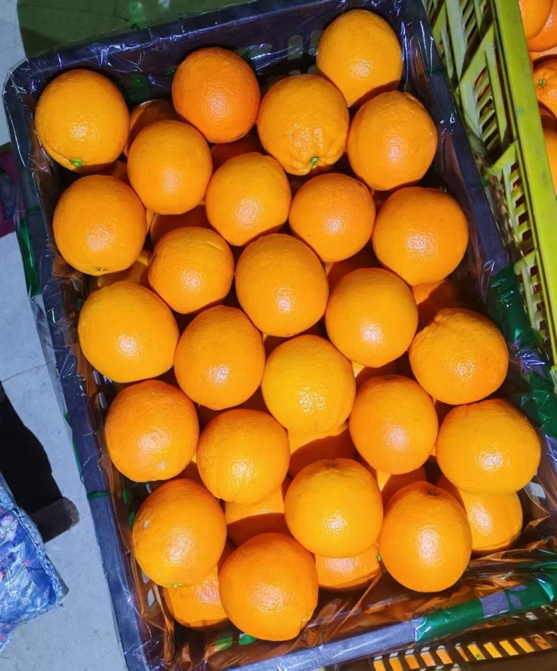 《精选》湖北秭归脐橙/纽荷尔脐橙/产地现摘现发/全国发货