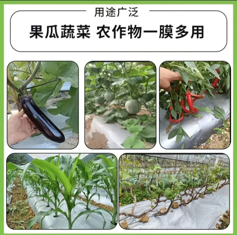 大蒜专用白地膜，百叶窗地膜，免勾地膜