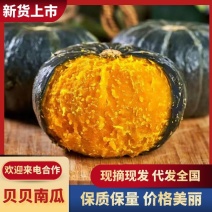 山东正宗贝贝南瓜支持视频看货基地现摘现发看质论价