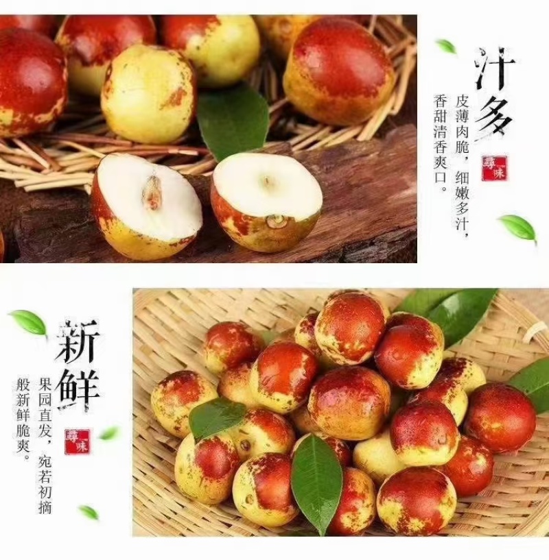 黄骅冬枣产地直发，现摘现发，可上门自查，果农直发