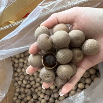 桂圆干新货产地直发桂圆肉品种齐全