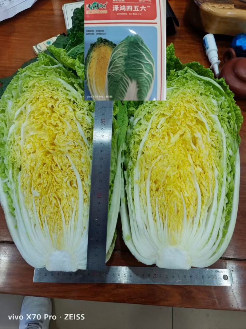 精品白菜苗