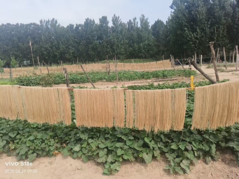 山东纯红薯粉条规格齐全厂家一手货源视频看货支持定做