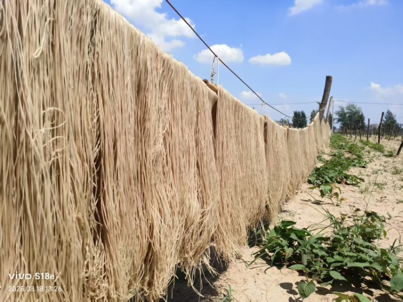 山东纯红薯粉条规格齐全厂家一手货源视频看货支持定做