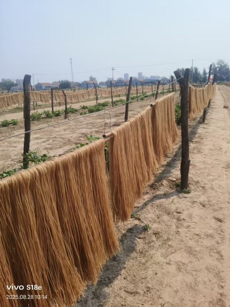 山东纯红薯粉条规格齐全厂家一手货源视频看货支持定做