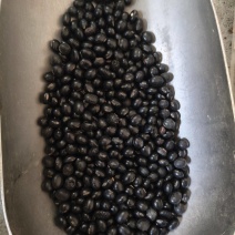 黑豆