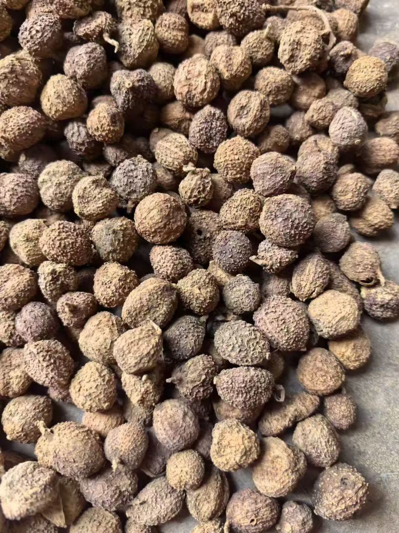 阳春砂仁