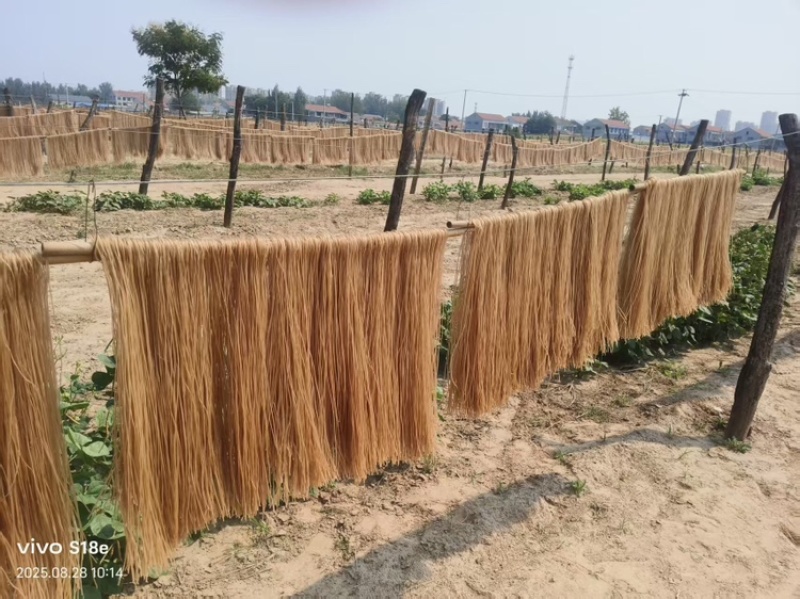 山东木薯粉条规格齐全厂家一手货源视频看货支持定做