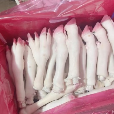 白羊蹄