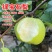 果园直发梨树苗早熟绿宝石梨翠冠梨苹果梨现挖现发包品种
