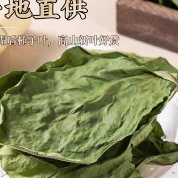 干绿柿叶