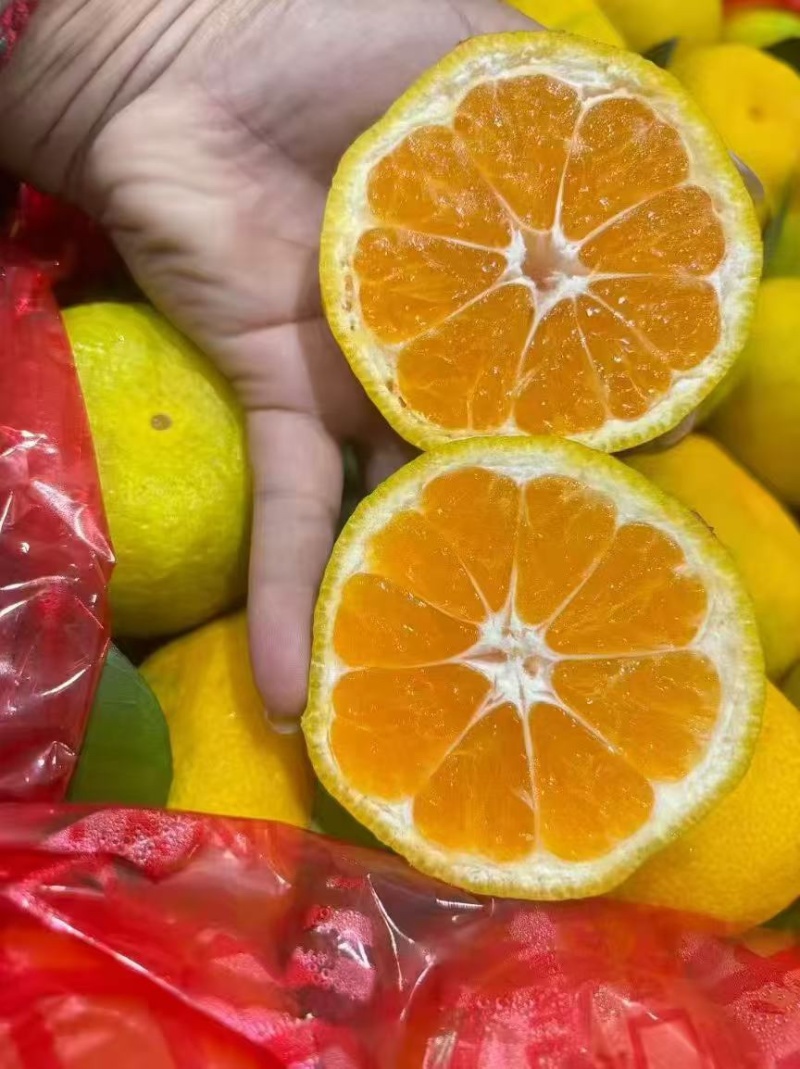 蜜桔湖北蜜桔大量上市皮薄汁多纯甜无渣现摘现发欢迎咨询