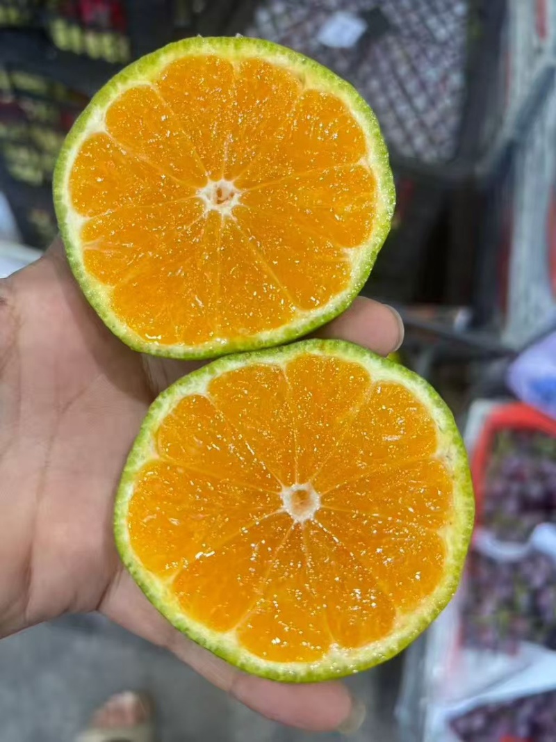蜜桔湖北蜜桔大量上市皮薄汁多纯甜无渣现摘现发欢迎咨询