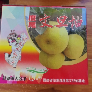 度尾文旦柚一件代发，量大价商