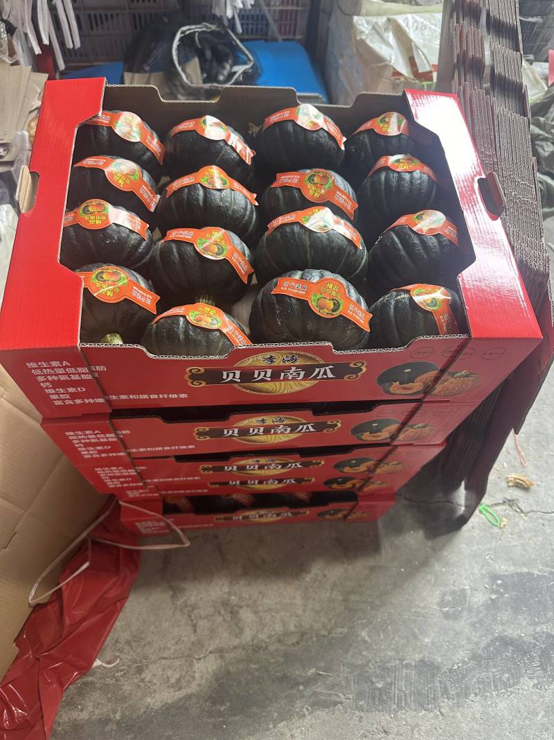 晖豪农业贝贝南瓜供应链