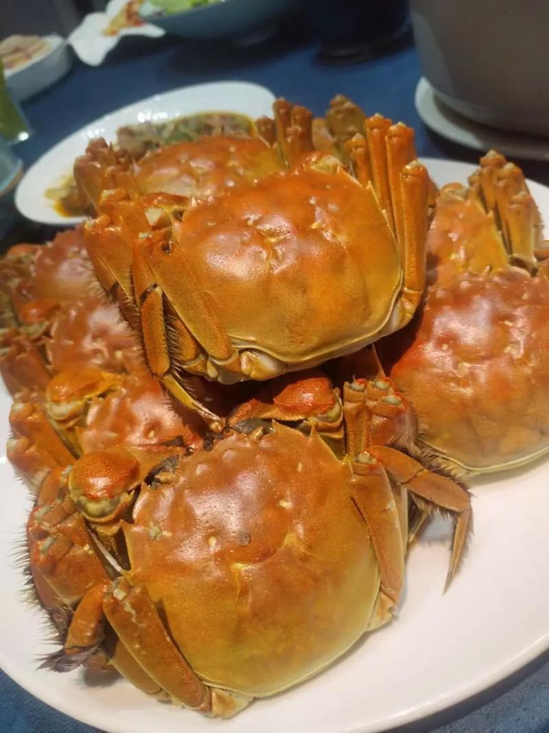 黑龙江红膏大闸蟹