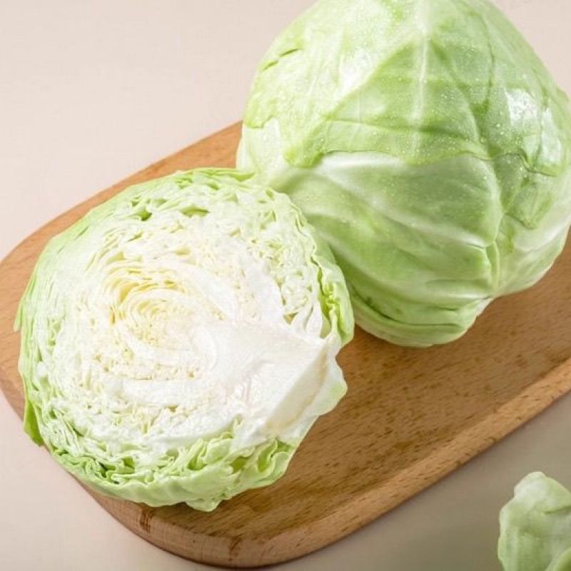 500亩自家种植甘蓝菜大量上市