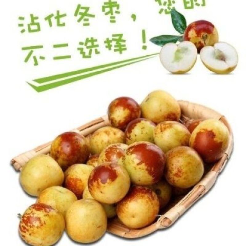 山东沾化冬枣！专业一件代发！对接各大电商平台！